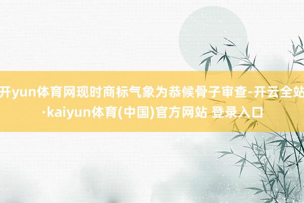 开yun体育网现时商标气象为恭候骨子审查-开云全站·kaiyun体育(中国)官方网站 登录入口