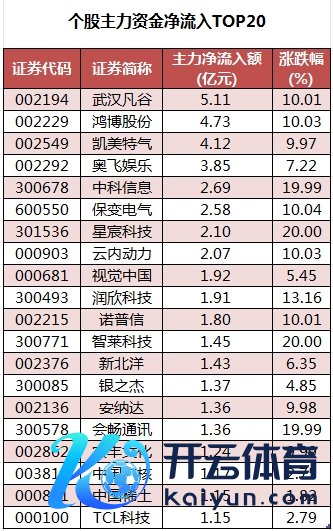 个股主力资金净流入TOP20.png
